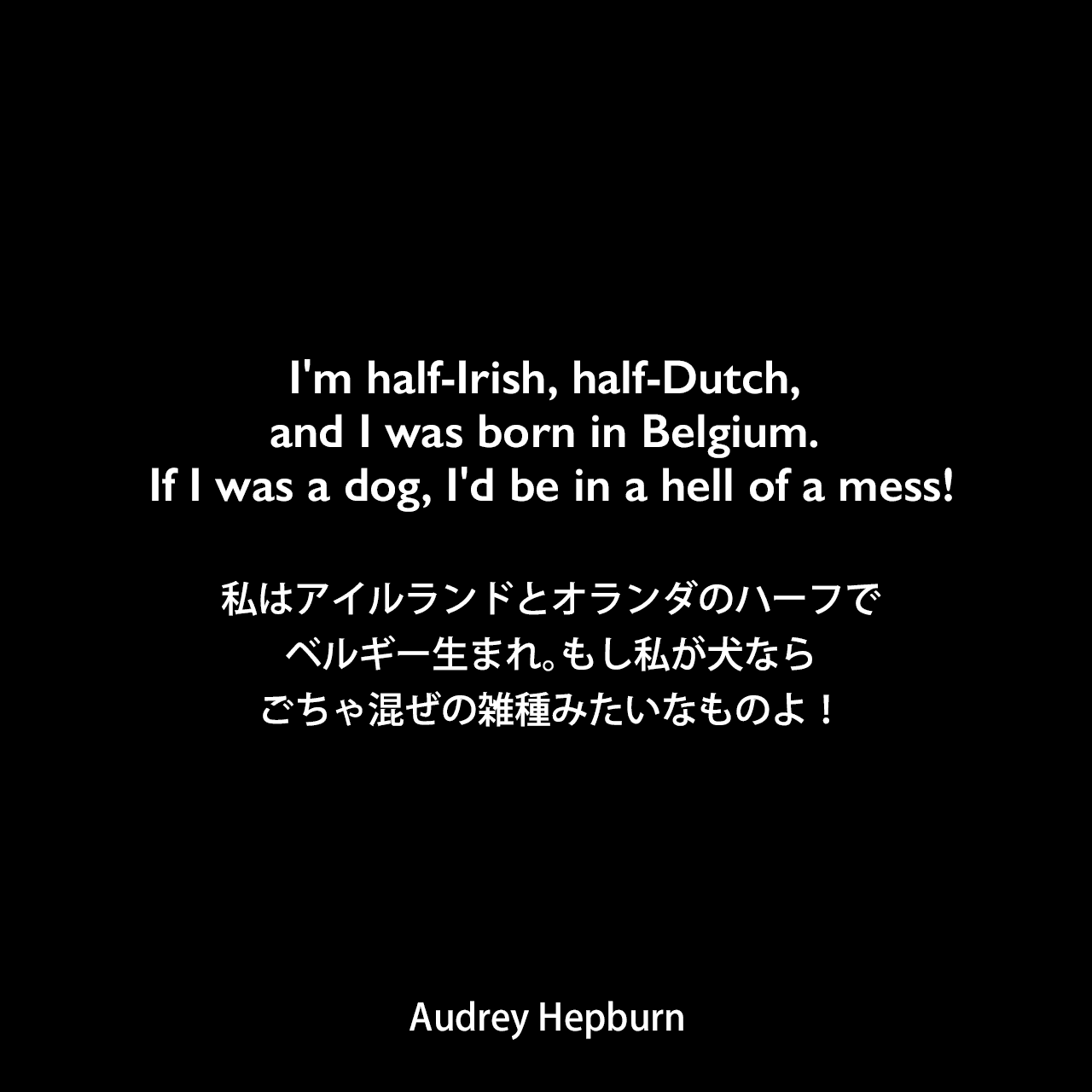 I'm half-Irish, half-Dutch, and I was born in Belgium. If I was a dog, I'd be in a hell of a mess!私はアイルランドとオランダのハーフでベルギー生まれ。もし私が犬ならごちゃ混ぜの雑種みたいなものよ！- Barry Parisの本「Audrey Hepburn」よりAudrey Hepburn