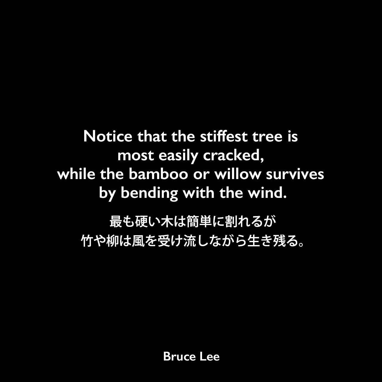 Notice that the stiffest tree is most easily cracked, while the bamboo or willow survives by bending with the wind.最も硬い木は簡単に割れるが、竹や柳は風を受け流しながら生き残る。Bruce Lee