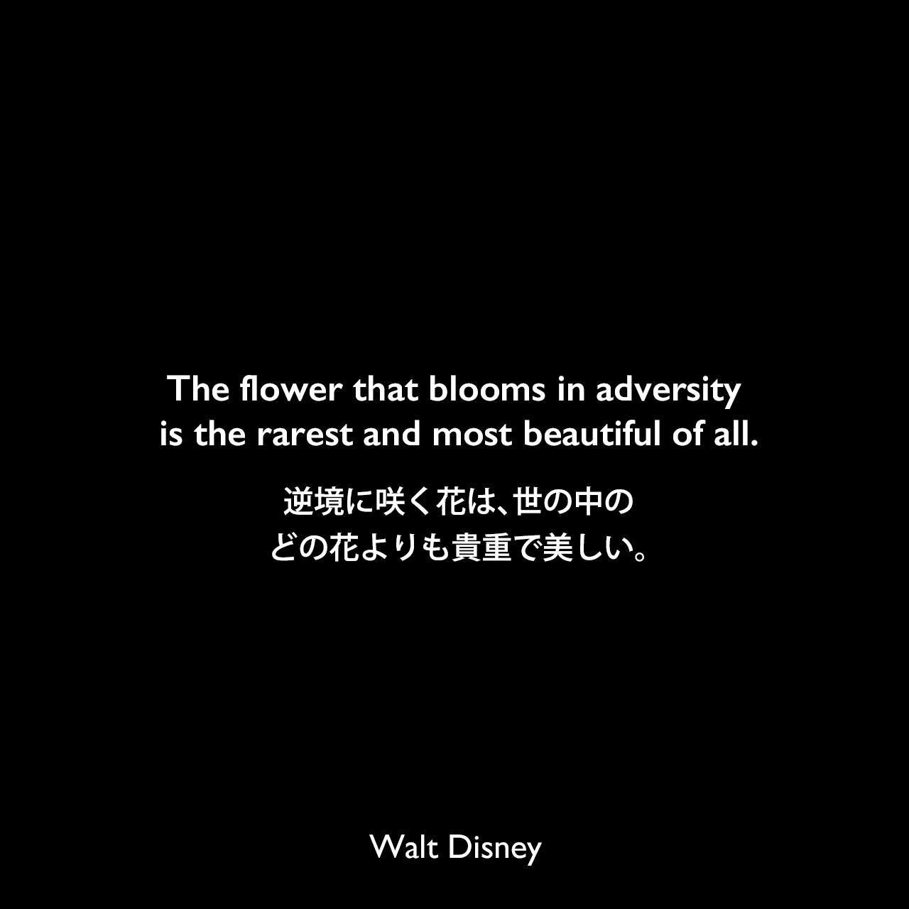 The flower that blooms in adversity is the rarest and most beautiful of all.逆境に咲く花は、世の中のどの花よりも貴重で美しい。Walt Disney